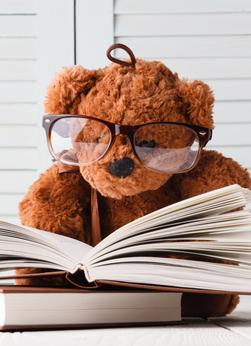 Bear reading a book for 32 of the Best Children's Books About Money