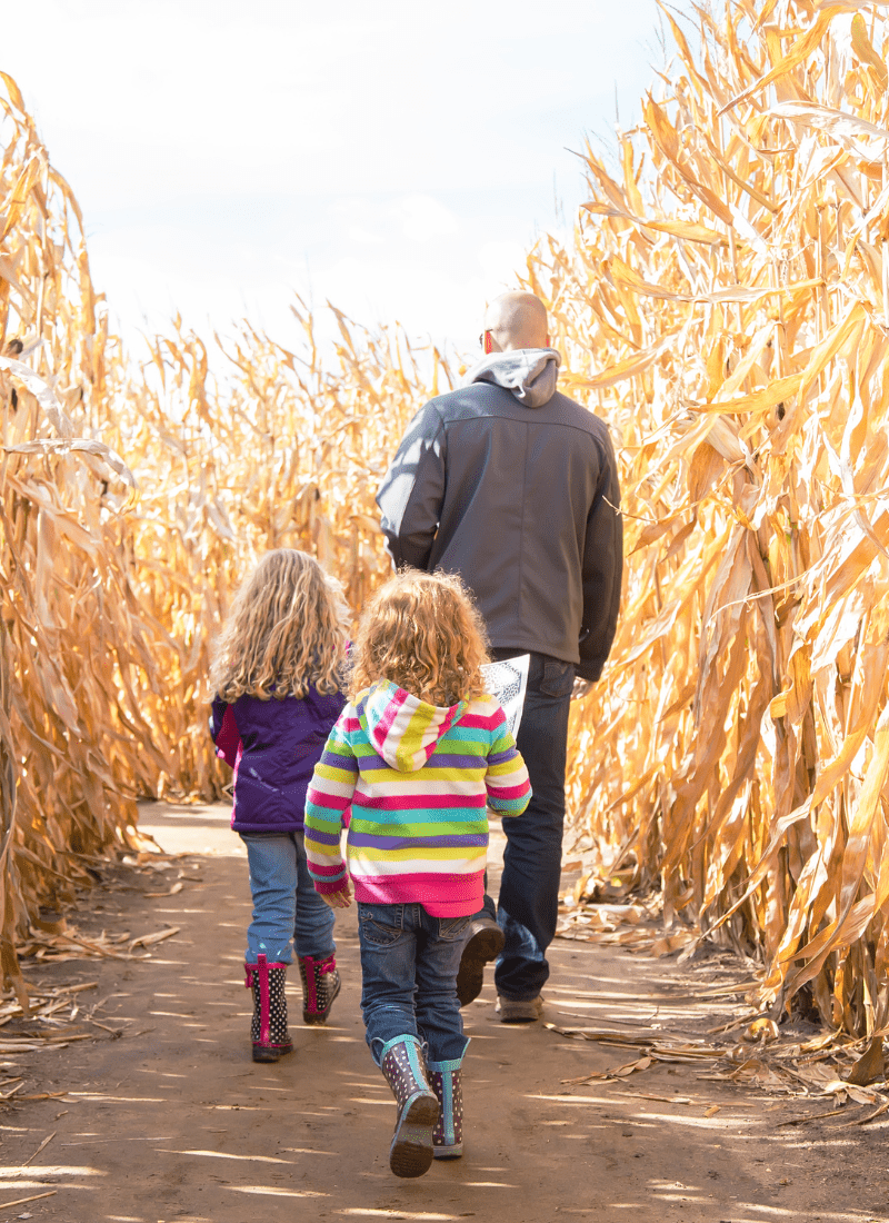 Family in corn maze for best fall activities for families