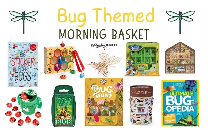 Bug themed morning basket with puzzles, games, books, and learning activities pictured. 