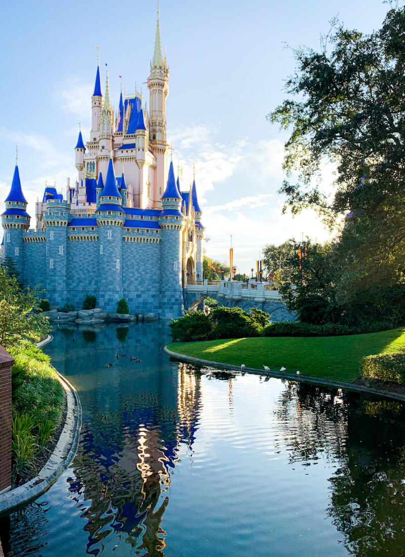 Get tips and ideas for how to save for Disney World.