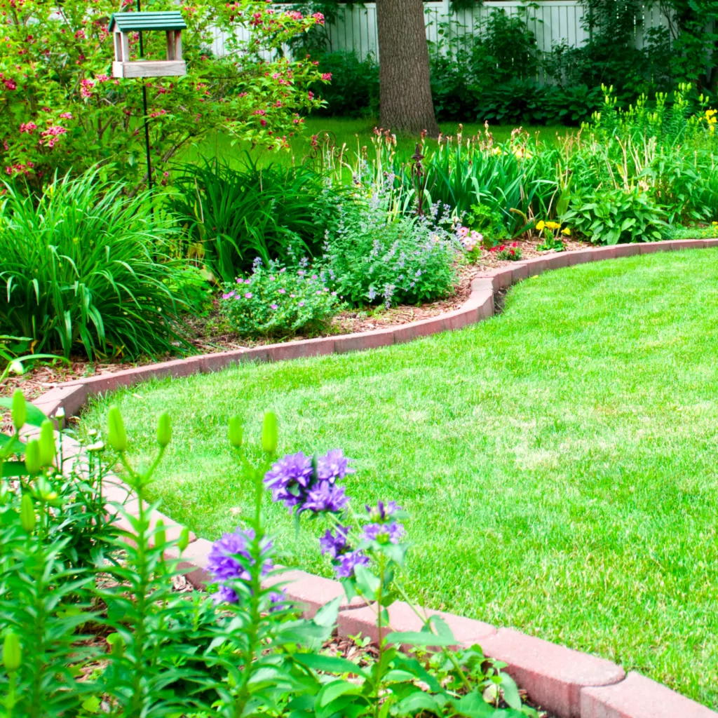 Garden edges for backyard landscaping ideas on a budget