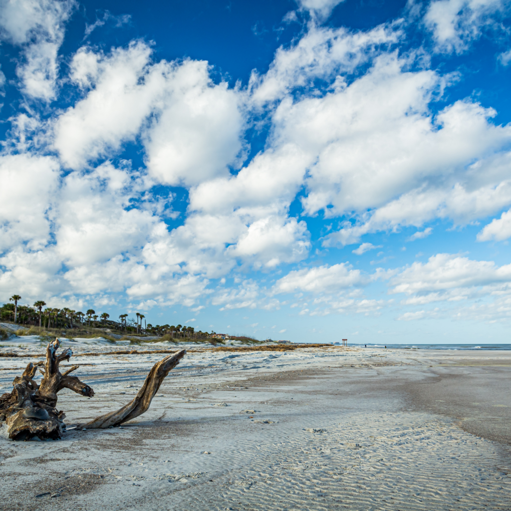 Amelia Island for family vacations in florida on a budget